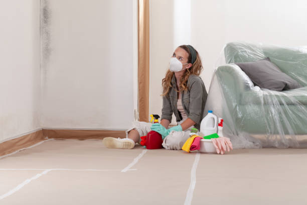 Reliable Black Mold Removal contractor in Gallitzin, PA by WQB Mold Removal